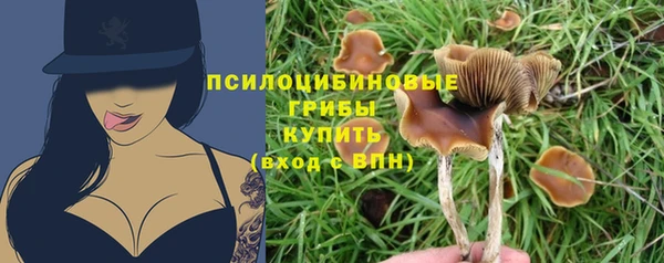 скорость Алексеевка